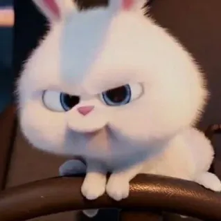 🧐 Snowball The Secret Life of Pets conejo, blanco, animal, dibujo animado, personaje, mascota, conejito whatsapp sticker