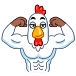💪 frango, músculo, forte, fitness, animal telegram sticker