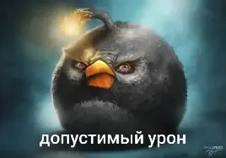 🌟 допустимый урон wütender Vogel, Vogel, Text, Russisch whatsapp sticker
