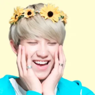 🤗 person, sunflower crown, smiling, happy, portrait telegram sticker