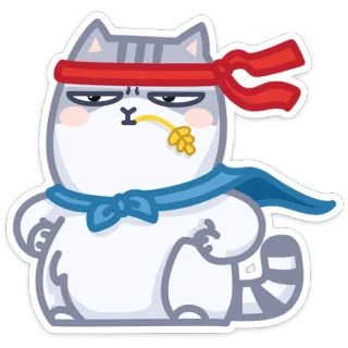 💪 gato, adesivo, desenho animado, animal, fofo, engraçado whatsapp sticker