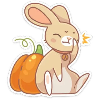 🤦‍♀️ rabbit, bunny, peace, peace symbol, pumpkin, cartoon, animal, cute telegram sticker