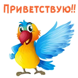 🖐 ПРИВЕТСТВУЮ!! parrot, bird, greeting, colorful, cartoon telegram sticker
