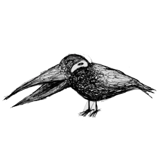 😖 pássaro, desenho, animal, esboço, arte telegram sticker