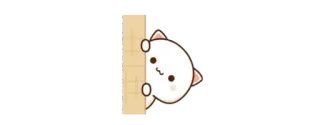 👀 귀여운, 고양이, 빼꼼, 동물, 카와이 telegram sticker
