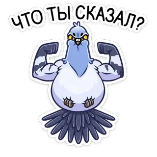 😡 ЧТО ТЫ СКАЗАЛ? bird, pigeon, muscles, funny, sticker telegram sticker