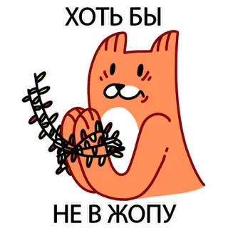 😰 ХОТЬ БЫ
НЕ В ЖОПУ Katze, Weihnachtsbeleuchtung, Witz, Humor, Russisch telegram sticker