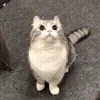😊