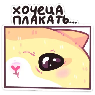 🥲 хочеца плакать... cat, cute, kawaii, sad, crying, sticker telegram sticker