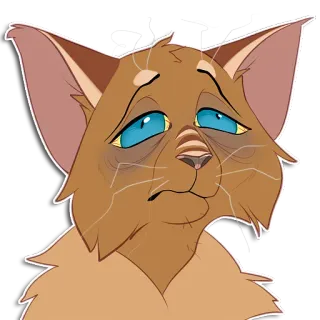 😴 gato, animal, dibujo animado, triste, ojos azules, marrón telegram sticker