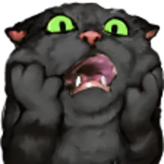 🙀 gato, gracioso, meme, animal, impactado, sorprendido, expresión, dibujo animado telegram sticker