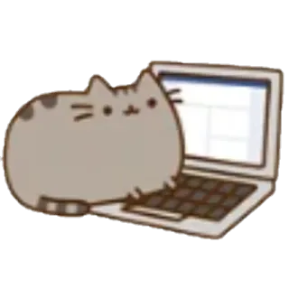 💻 Pusheen gato, dibujos animados, lindo, Pusheen, ordenador portátil, internet, teclado, animal whatsapp sticker