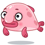 😱 ブロブフィッシュ, 魚, ピンク, 可愛い, 動物 telegram sticker