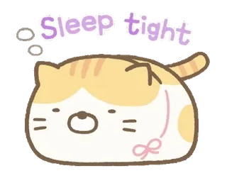 🍞 Sleep tight 고양이, 잠, 동물, 귀여운, 잘자요 whatsapp sticker