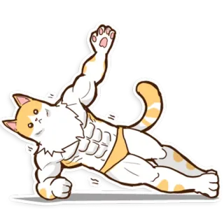 🏋 gatto, bodybuilding, fitness, muscoloso, animale, cartone animato whatsapp sticker