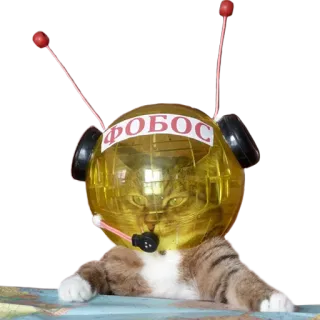 котеки telegram stickers