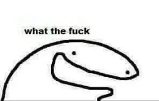 🐣 what the fuck florkofcows, mem, śmieszne, naklejka, obraźliwe, wyrażenie telegram sticker
