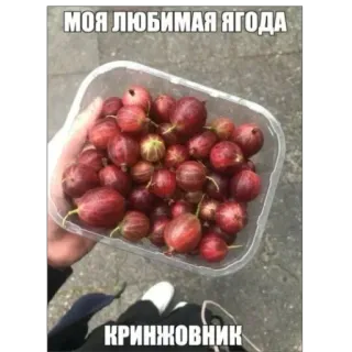 👎 МОЯ ЛЮБИМАЯ ЯГОДА
КРИНЖОВНИК Beeren, Obst, Essen, Stachelbeeren telegram sticker