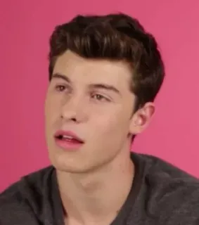 ❓ Shawn Mendes celebrity, singer, portrait, musician, young, male telegram sticker