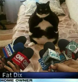 😠 Fat Dix
HOME DIX chat, actualités, interview, drôle, mème telegram sticker