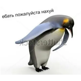 🤝 ебать пожалуйста нахуй penguin, offensive, russian, meme telegram sticker