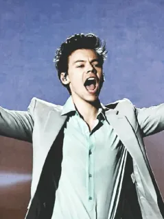 💵 Harry Styles musique, chanteur, célébrité, pop, Harry Styles, musicien telegram sticker