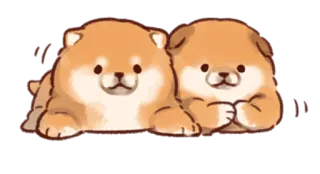 😊 cane, cucciolo, carino, animale, shiba inu whatsapp sticker