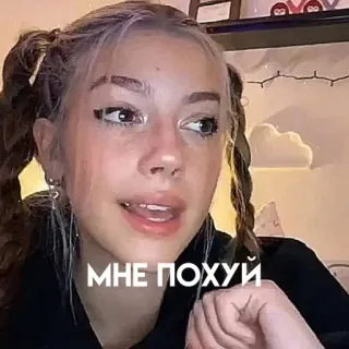 🖕 МНЕ ПОХУЙ telegram sticker