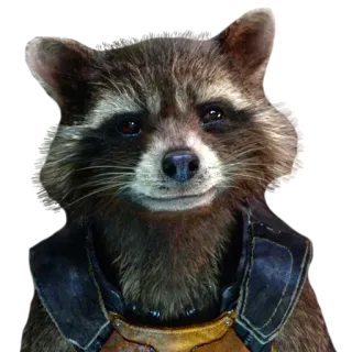 🙂 Rocket Raccoon Guardians of the Galaxy mapache, cohete, Marvel, Guardianes de la Galaxia, animal whatsapp sticker