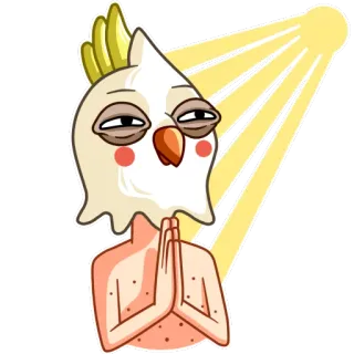 🙏 Cacatúa, Pájaro, Dibujo animado, Animal, Divertido, Adhesivo, Lindo telegram sticker