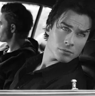 ▪️ Damon Salvatore The Vampire Diaries Ian Somerhalder, wampir, ponury, nadprzyrodzone, dramat, romans telegram sticker