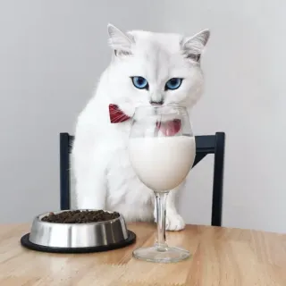 🥛 cat, milk, pet, animal, drink, table, cute, domestic, mammal telegram sticker
