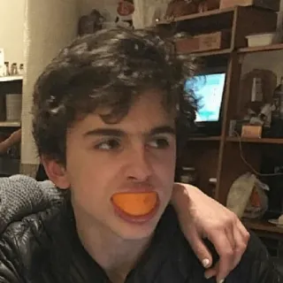 😐 Timothée Chalamet Тимоти Шаламе, актер, оранжевый, знаменитость, портрет, человек whatsapp sticker