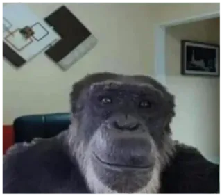 😄 monkey telegram sticker