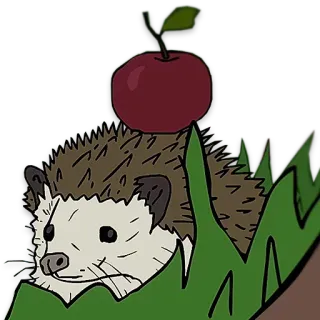 🍎 hedgehog, apple, animal, nature, cute telegram sticker