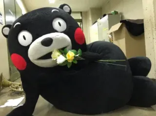 💐 Kumamon Kumamon, niedźwiedź, maskotka, postać, słodki telegram sticker