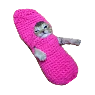 ❤️ cat, kitten, slipper, pink, animal telegram sticker