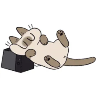 😴 cat, sleeping, cute, cartoon, relaxed, animal, domestic cat, siamese cat telegram sticker
