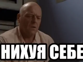 🌟 НИХУЯ СЕБЕ 表情包, 俄语, 震惊, 惊喜 telegram sticker