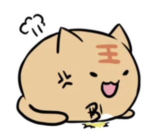 😡 BL chat, animal, mignon, dessin animé, expression, en colère whatsapp sticker