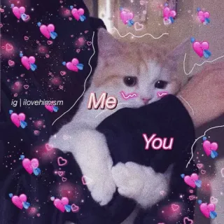 🥰 Me You gato, amor, fofo, corações, meme, adorável telegram sticker