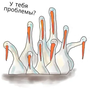 🤔 У тебя проблемы? 펠리컨, 새, 러시아어, 질문, 만화 telegram sticker