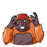 😡 orangutan, monyet, hewan, marah, frustrasi, kartun whatsapp sticker