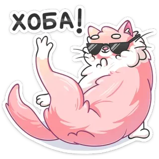 😎 ХОБА! 猫, 太阳镜, 粉色, 卡通, 搞笑, 可爱, 霍巴, 酷 telegram sticker