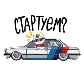🏎 СТАРТУЕМ? кот, машина, старт, мультфильм, bmw telegram sticker