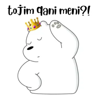 🐻‍❄️ tojim qani meni?! ours, couronne, dessin animé, ours polaire, We Bare Bears, autocollant whatsapp sticker