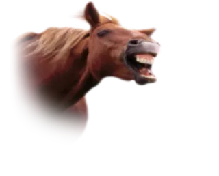 😅 лошадь, животное, смешной, млекопитающее, лошадиный telegram sticker