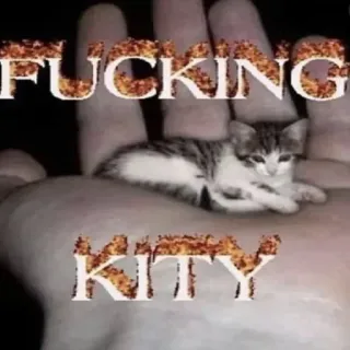 👎 FUCKING
KITY kitten, cat, offensive, swear word telegram sticker