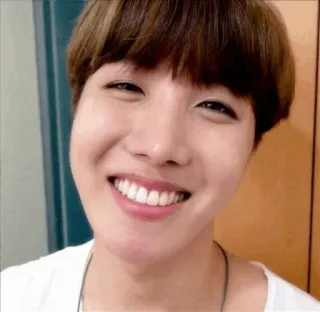 😀 J-Hope J-Hope, BTS, K-pop, Zanger, Danser, Idool, Muziek telegram sticker