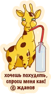 😍 хочешь похудеть, спроси меня как! © жданов Girafa, Animal, Desenho animado, Bebendo, Fofo, Engraçado telegram sticker